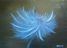 Eisblume.jpg